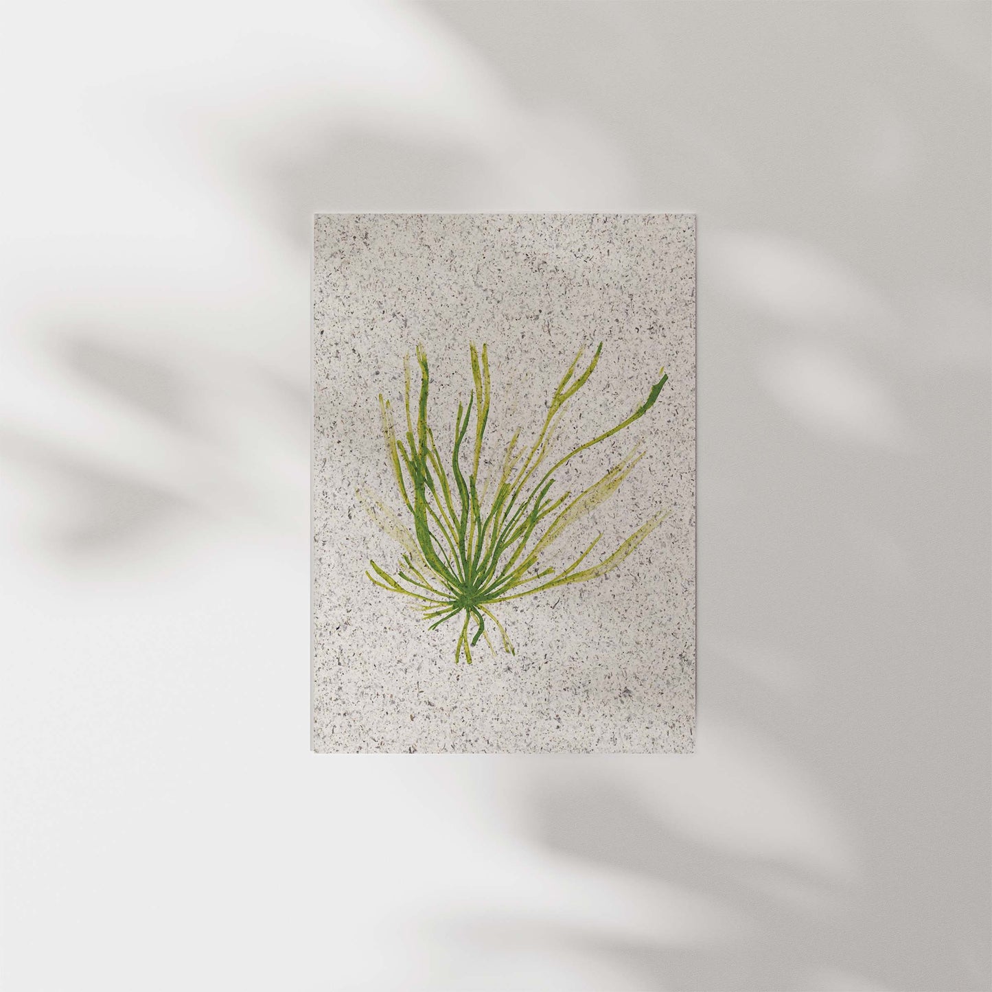 Portrait painting of gut week / grass kelp, green coloured. On paper made from seaweed. From Kelpi Studio in Cornwall.