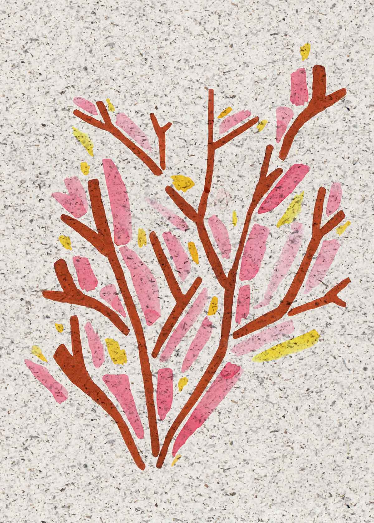 Painted pink seaweed on seaweed paper. From Kelpi Studio in Cornwall.