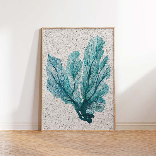 Framed picture of a print of a seafan.