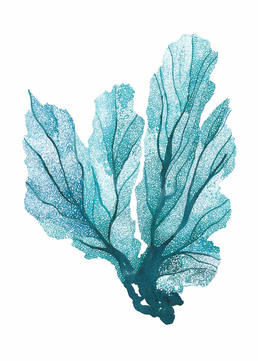 Blue Seafan coral design on recycled paper.