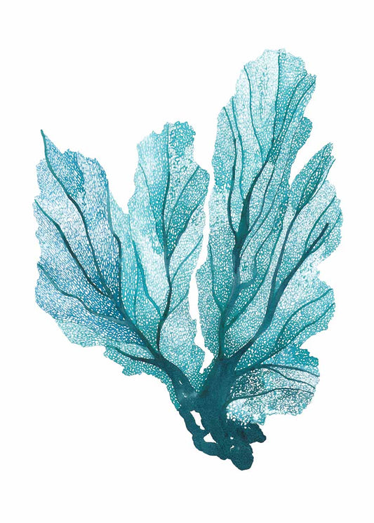 Blue Seafan coral design on recycled paper.