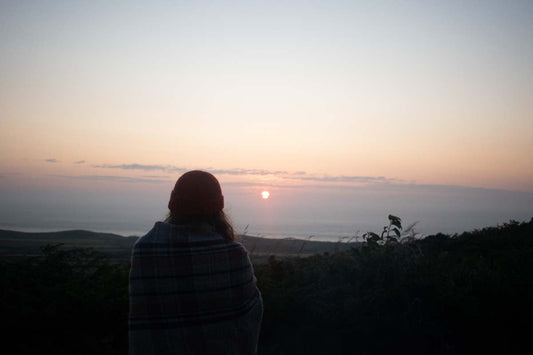 A Celtic Solstice: Puffins, Owls & Ancient Stones