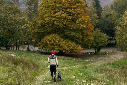 adventurings | autumn and winter