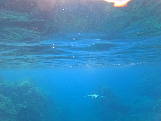 Capturing life below