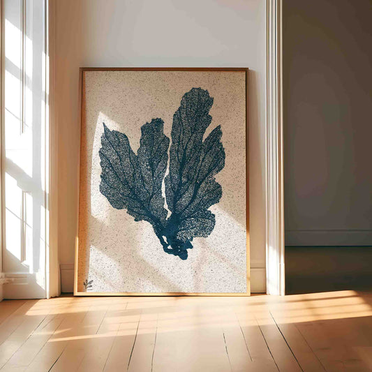 Screen print in a frame. The picture of a teal sea fan in teal. From Kelpi Studio in Cornwall. 