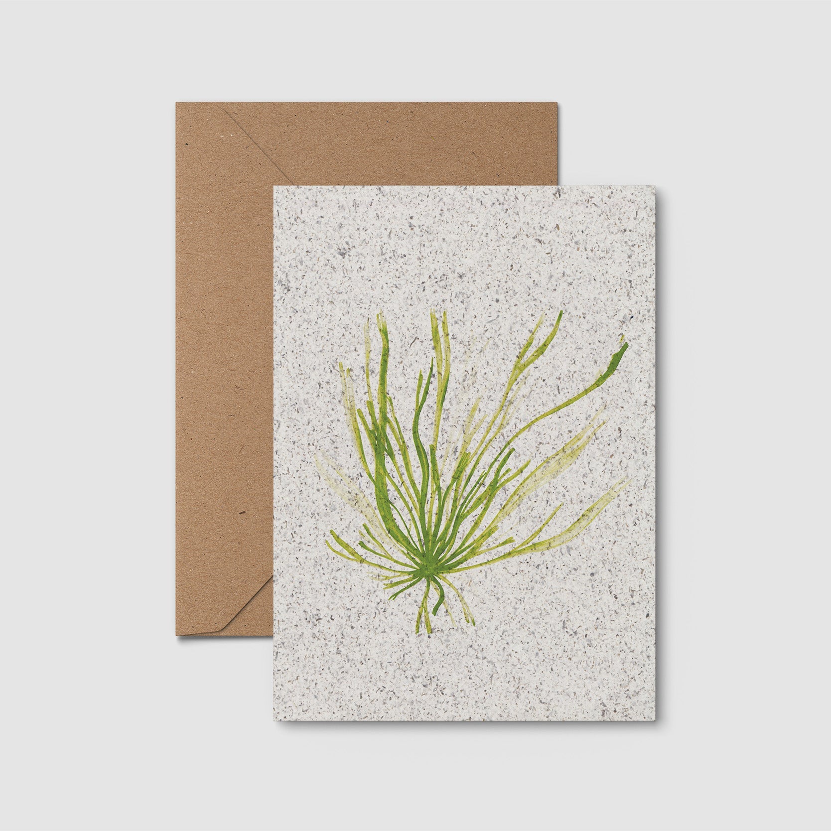Greeting card with plant design and brown envelope on light gray background