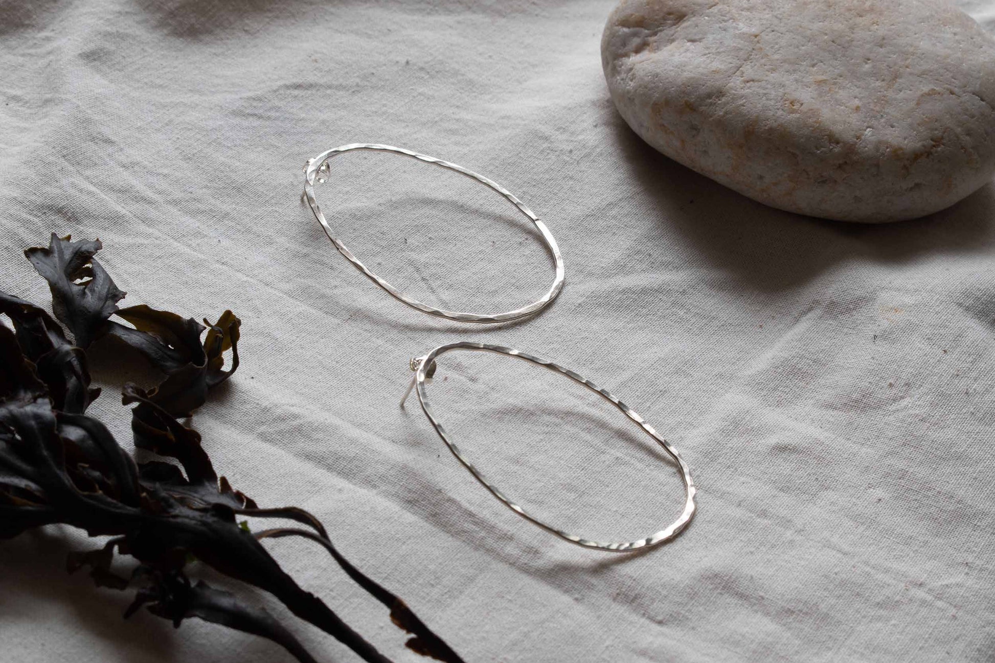 Silver hooped earrings.