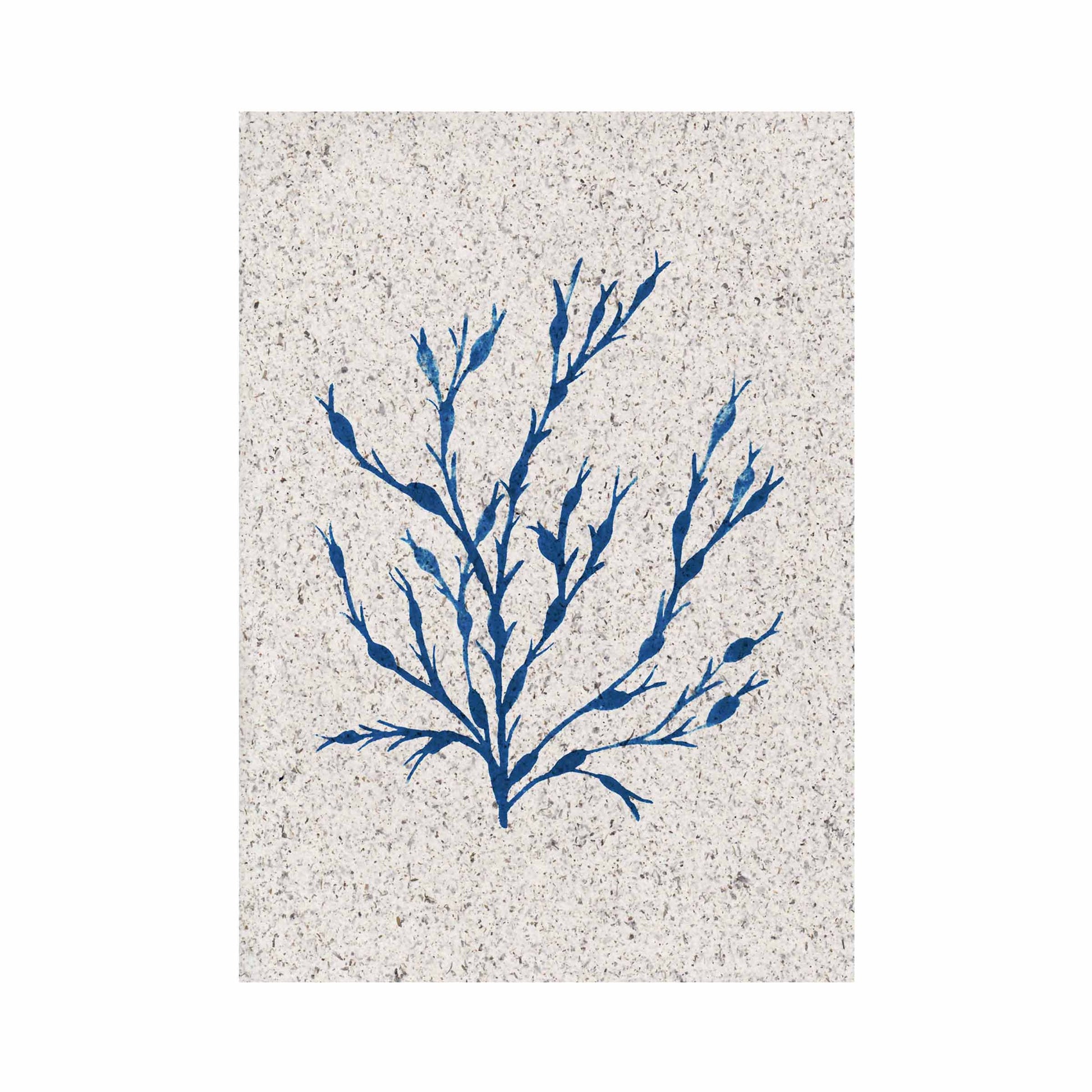 Portrait painting Egg Wrack seaweed, indigo coloured. On paper made from seaweed. From Kelpi Studio in Cornwall. 