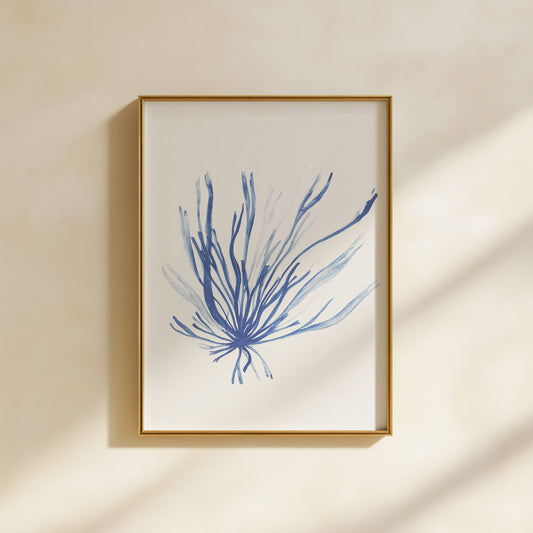 Indigo painting of gut weed / grass kelp in a a4 portrait frame. From Kelpi Studio in Cornwall.