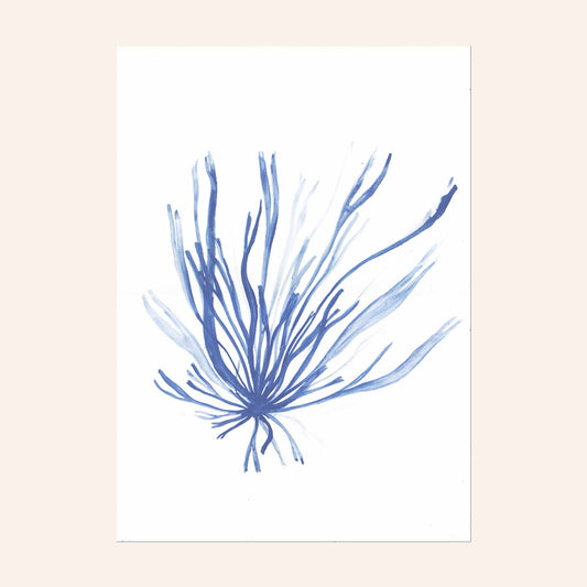 Indigo painting of gut weed/ grass kelp. From Kelpi Studio in Cornwall.