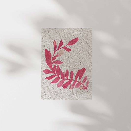 Portrait painting of kelp, coral coloured. From Kelpi Studio in Cornwall.