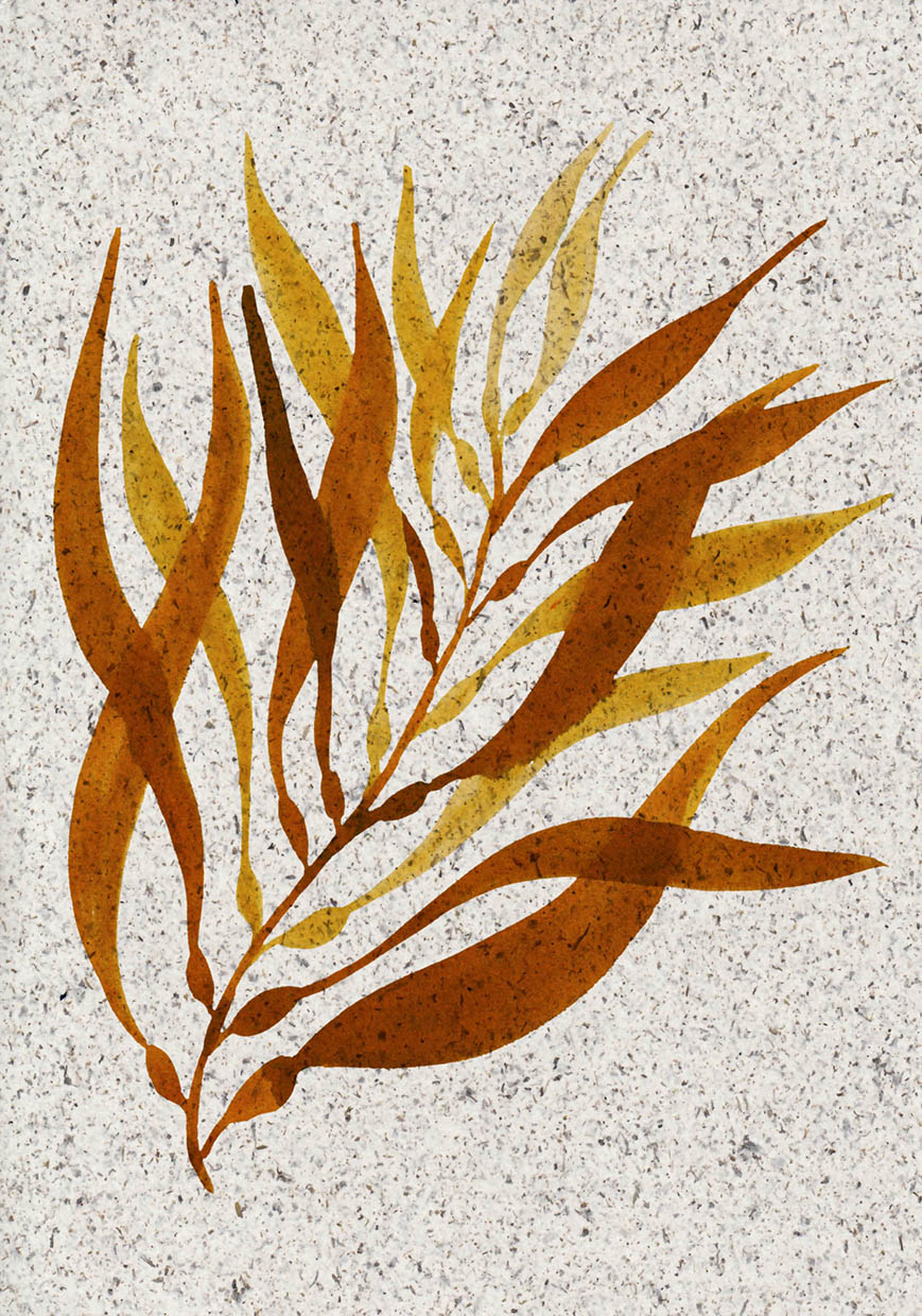 Artistic depiction of seaweed on a textured surface