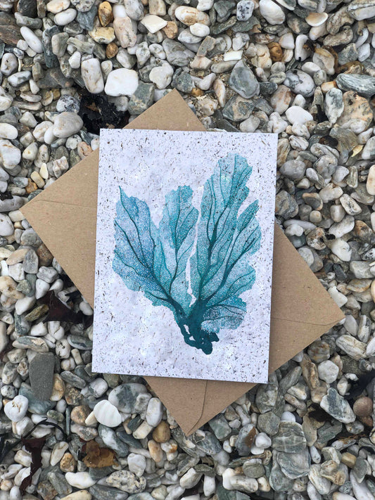 Greetings card made from seaweed paper with a blue seafan design