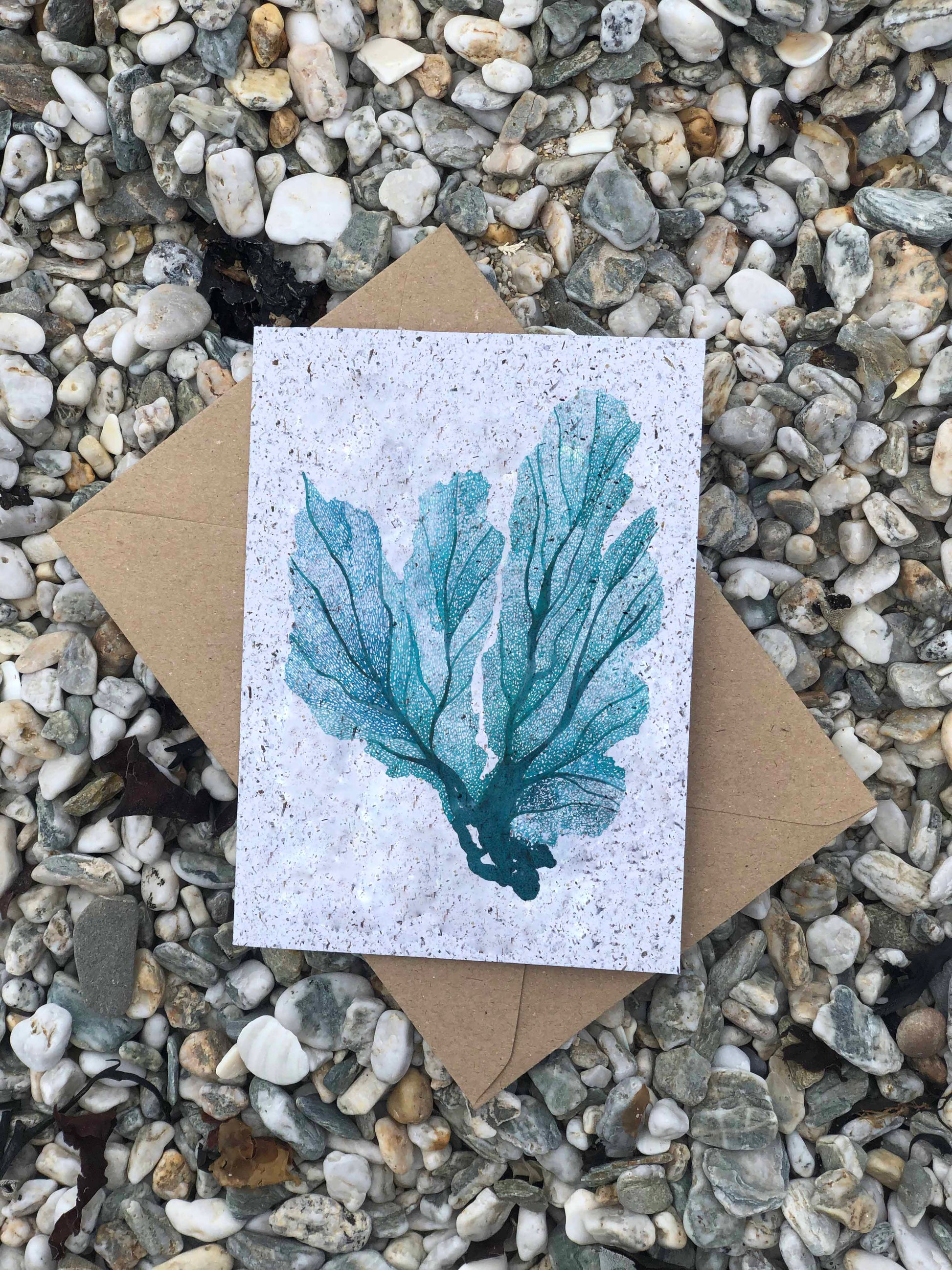 Greetings card made from seaweed paper with a blue seafan design
