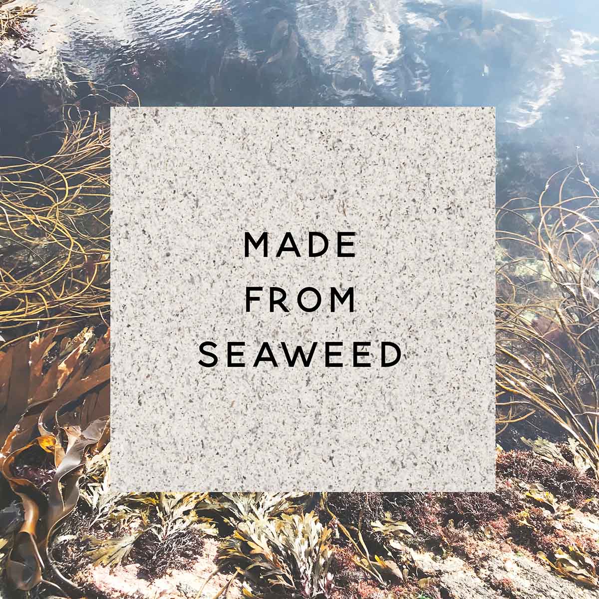 A sign saying made from seaweed, on seaweed paper. 